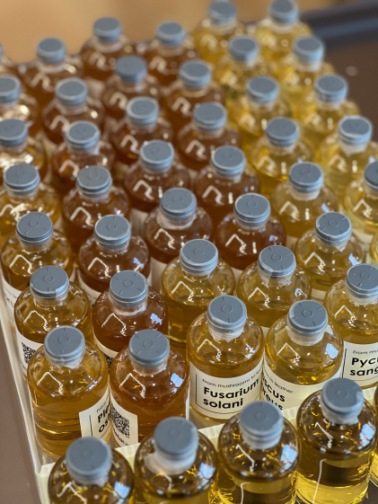 微生物的定向进化