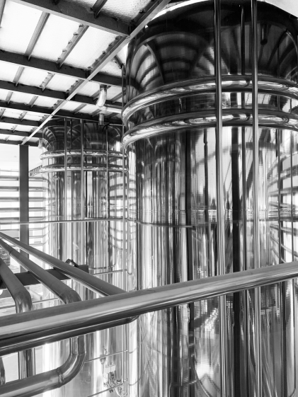 大规模精确发酵生产