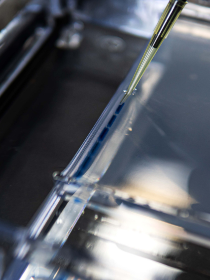 自然菌株优化技术